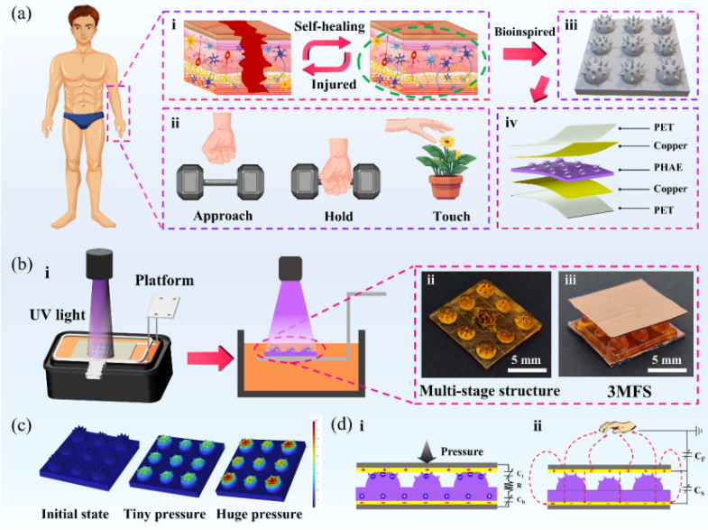 1756448630434340.png 333.png