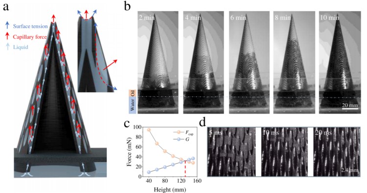 1756449644272743.jpg 微針.jpg