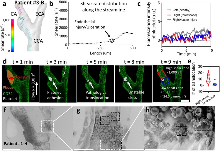 1758521317336106.jpg 微信圖片_2025-09-22_140022_917.jpg