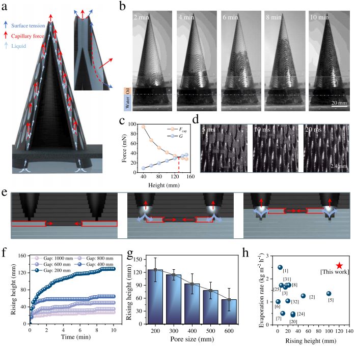 1761125362526603.jpg 微信圖片_2025-10-22_172600_666.jpg