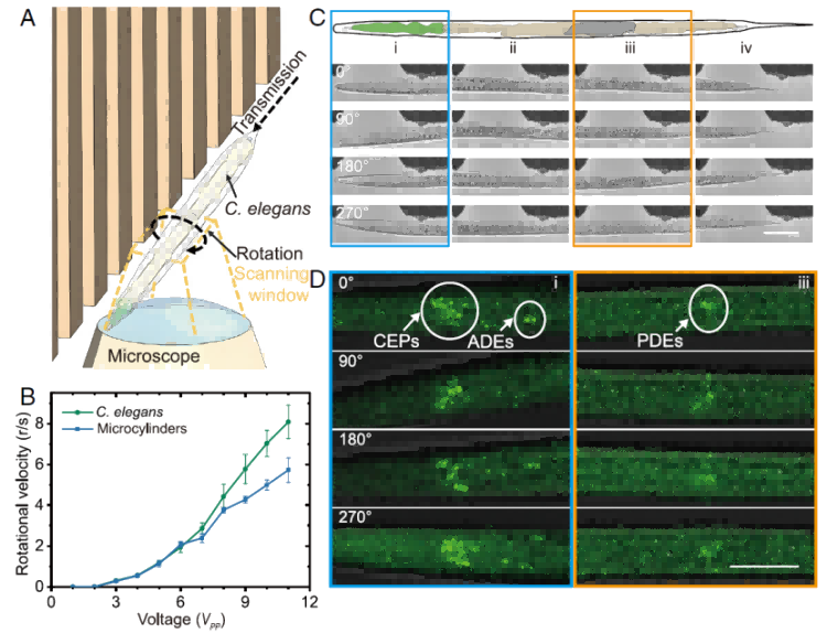 1766540509610468.png 微信圖片_2025-12-24_093442_218.png