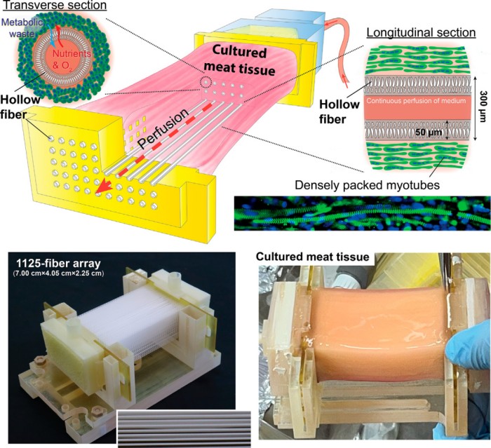 1773654331736451.jpg 微信圖片_2026-03-16_174306_036.jpg